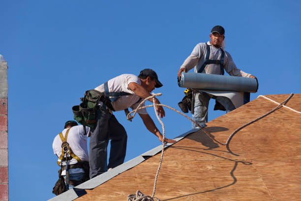 Best Shingle Roofing Installation  in Gruver, TX